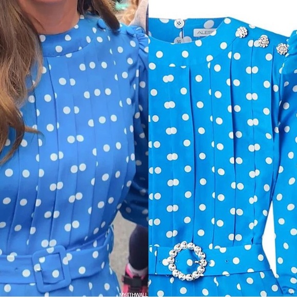 Azure Blue Alessandra Rich Pleated Embellished Silk Crepe de Chine Dress - Picture 15 of 16